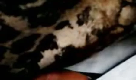 Arabsko-azjatyckich czarny darmowe sex filmy w hd kogut
