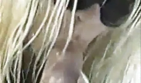 Mama kocha kurwa darmowe sex filmy amatorskie kocham ssać nogi