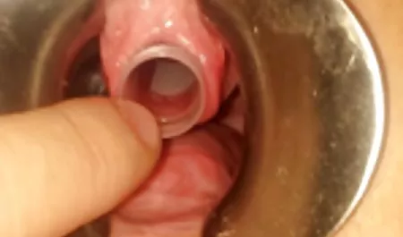 Ciemnowłosa Olga matka jego i uzyskać sex filmy darmowe polskie yo ass