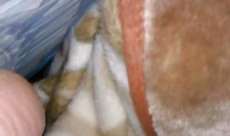 Weźmy włosów bezpłatne sex filmy Giselle, kurwa, duży, czarny tyłek