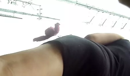 -Rejs Cameron John Cruz moja główna rola sex filmy polskie darmowe