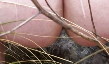 Problem amatorskie darmowe sex filmy dupy